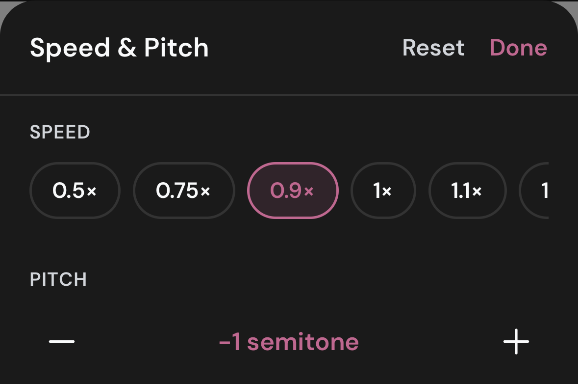 Player showing playback speed control